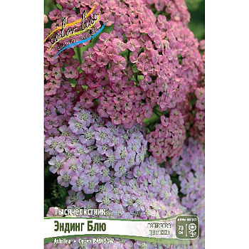 Тысячелистник Rainbow Эндинг Блю I 1 шт