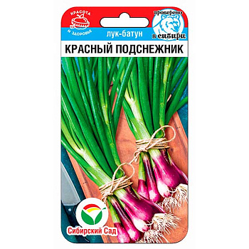 Лук батун Красный подснежник СибСад Ц