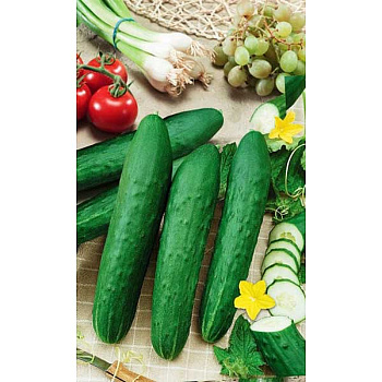 Семена Огурец Русский деликатес партенокарпический Марс Ц