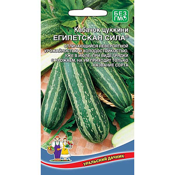 Кабачок Египетская сила цуккини Марс Ц