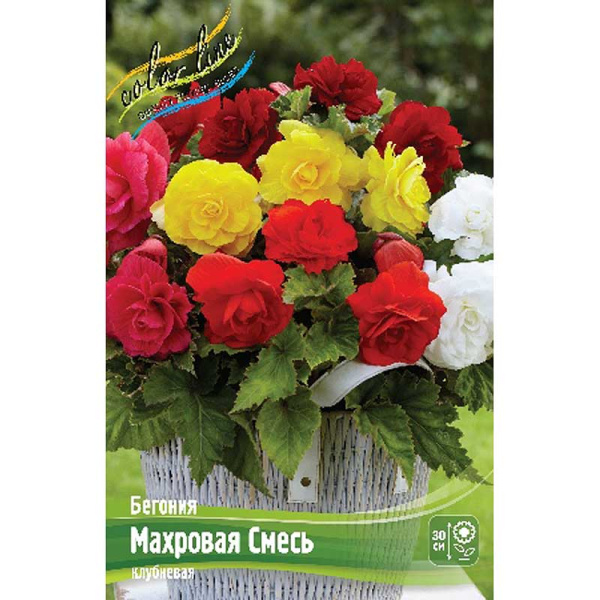 Бегония Махровая Смесь 5/6 50 шт Шоу-бокс 8834