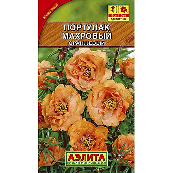 Портулак Махровый оранжевый Аэлита Ц 
