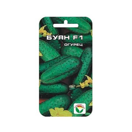 Огурец Буян СибСад Ц