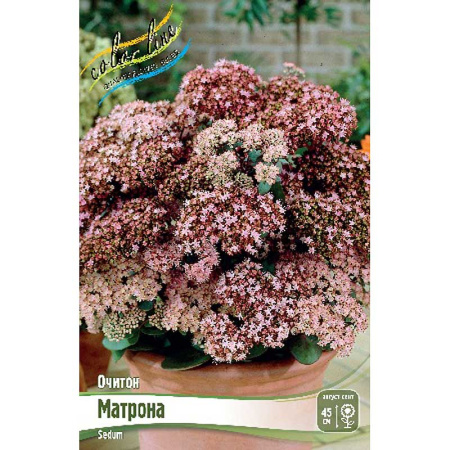 8558 Биг-Пак Очиток Матрона I 25 шт