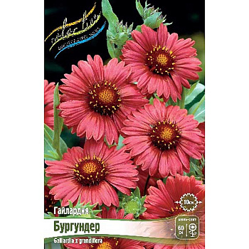 9876 Биг-Пак Гайлардия Бургундер I 25 шт