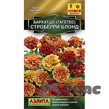 Бархатцы Строберри блонд отклон Аэлита Ц 