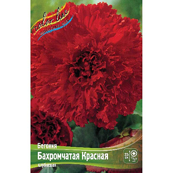 Бегония Бахромчатая Красная 5/6 50 шт Шоу-бокс 8800