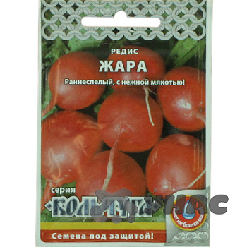 Редис Жара "Кольчуга" НК