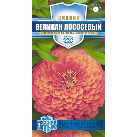 Циния Великан лососевый Гавриш Ц 