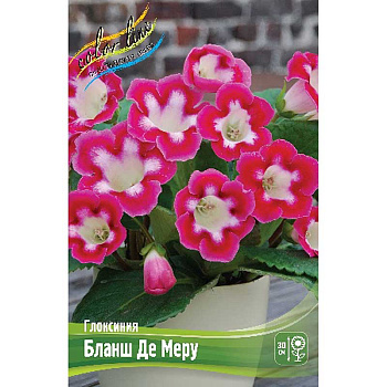 Глоксиния Бланш Де Меру 5/6 2 шт 