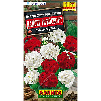 Пеларгония Дансер Босворт Аэлита Ц 