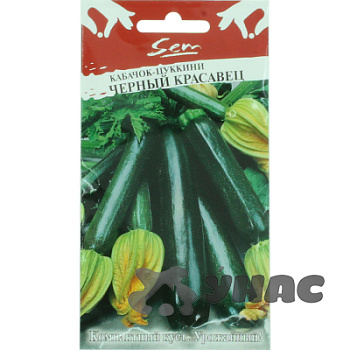 Кабачок Черный Красавец НК Ц