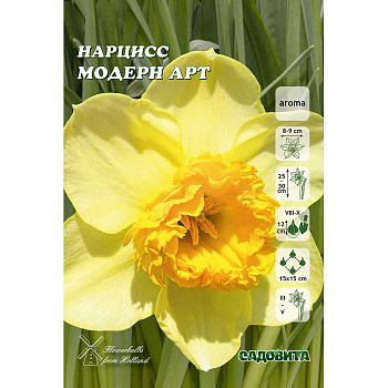 Нарцисс Модерн Арт 12/14 3 шт Садовита 
