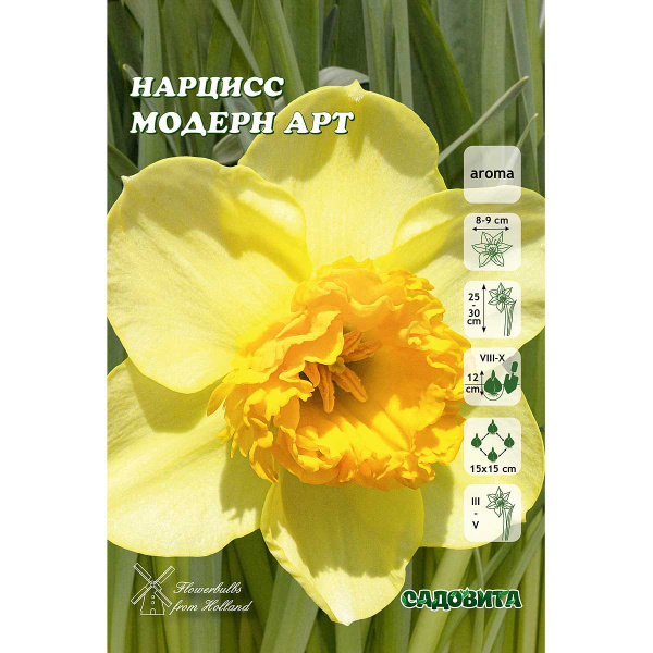 Нарцисс Модерн Арт 12/14 3 шт Садовита 
