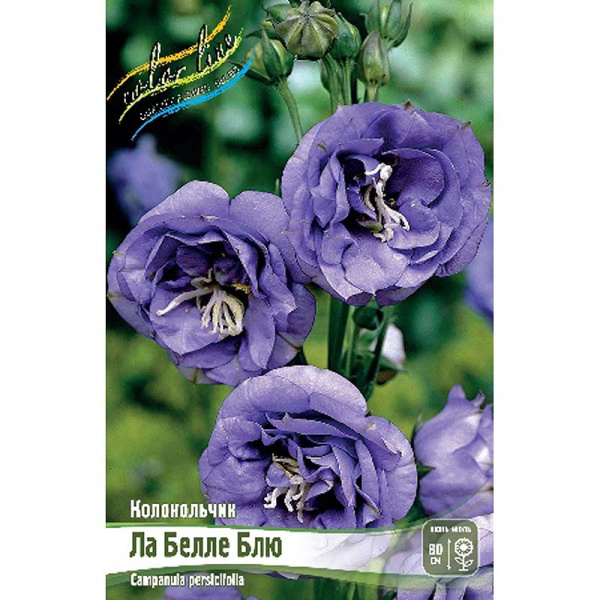 Колокольчик Ла Белле I 1 шт