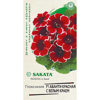 КОМ Глоксиния Аванти крас с белым  гранул Гавриш Ц 