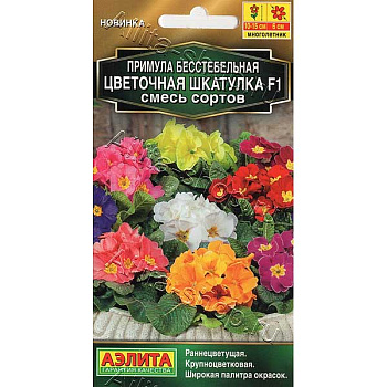 Примула Цветочная шкатулка Аэлита Ц 