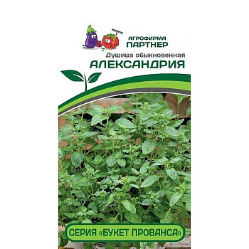 Семена Душица Александрия Партнер Цх10