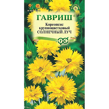 Кореопсис Солнечный луч Гавриш Ц 