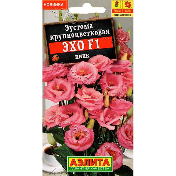 Эустома Эхо пинк крупноцветковая Аэлита Цх10 