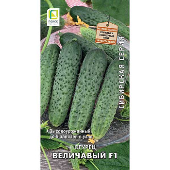 Огурец Величавый Сибирская серия Поиск Ц