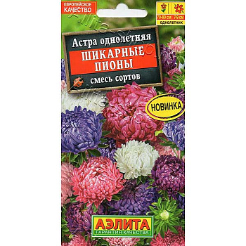 Астра Шикарные пионы Аэлита Ц 