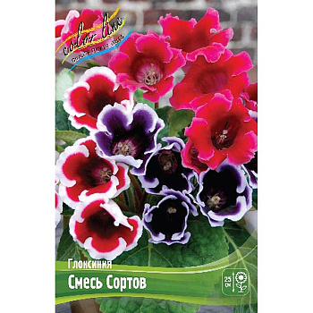 Глоксиния Смесь Сортов 5/6 2 шт 