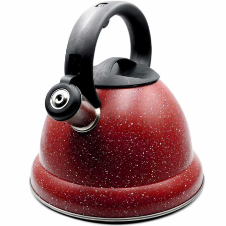 Чайник NA2265/GH-0604 3 л нержавеющая сталь с покрытием