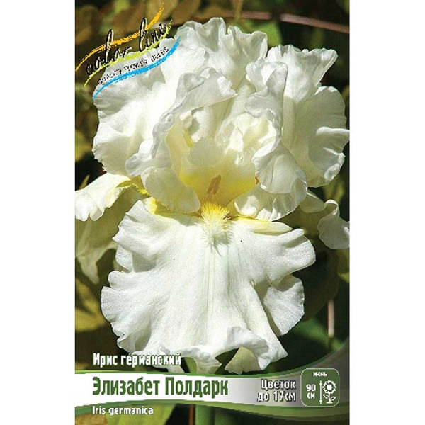 Ирис Германский Элизабет Полдарк I 25 шт Биг-пак 6323