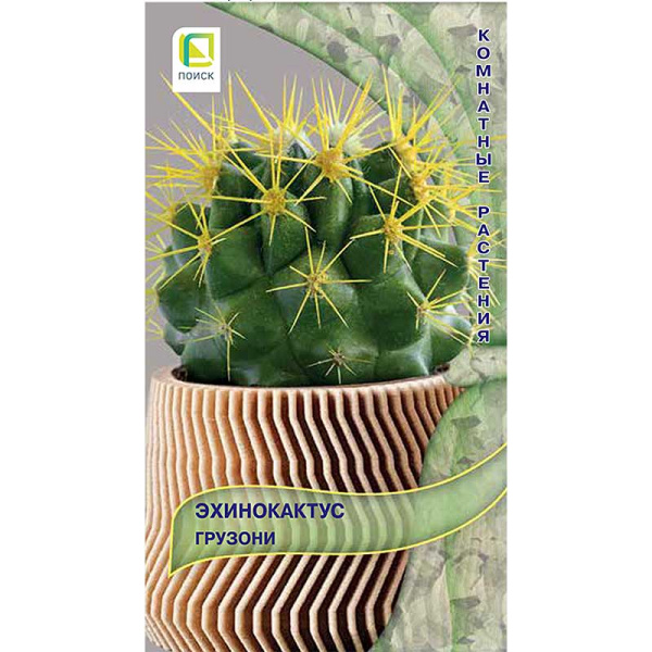 Семена Эхинокактус Грузони Поиск Ц 