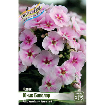 Флокс Юник Биколор I 2 шт