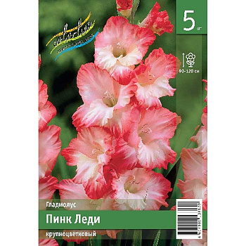 Гладиолус Пинк Леди 10/12 5 Эконом шт