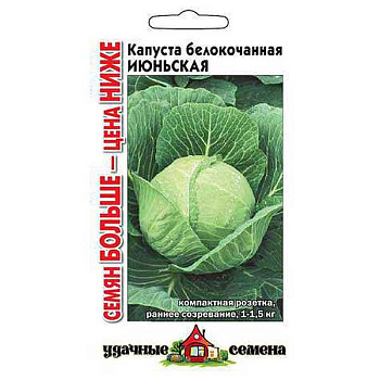 Капуста Июньская Удачные Семена Семян больше Гавриш Ц