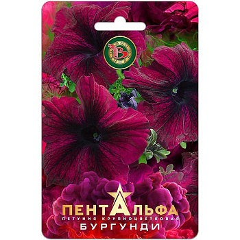 Петуния Пентальфа Бургунди Биотехника Ц 