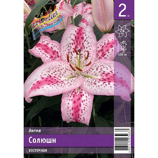 Лилия Солюшн 12/14 2 Эконом шт 