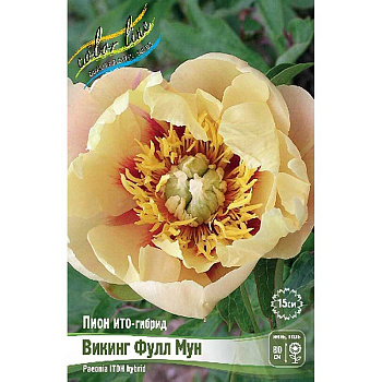 Пион Ито Викинг Фулл Мун 2/3 n 1 шт