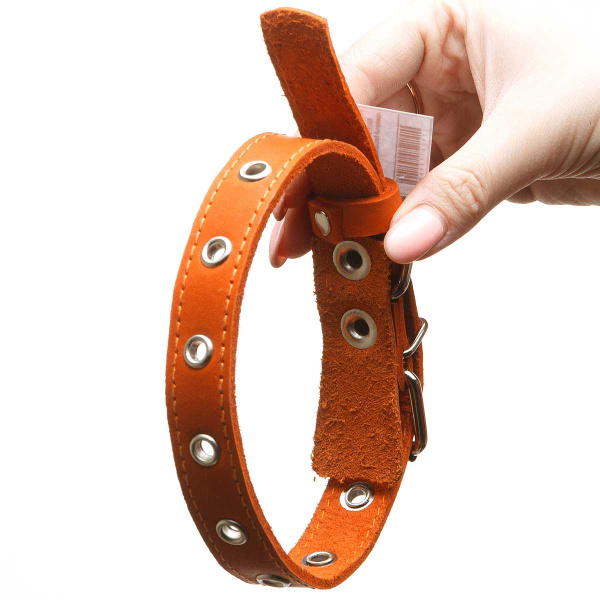 Ошейник кожаный одинарный безразмерный ширина 20 мм длина45 см