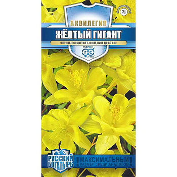 Аквилегия Желтый гигант Гавриш Ц 