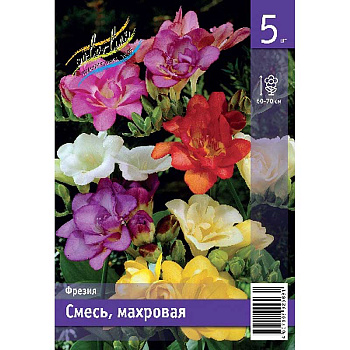 Фрезия Смесь, Махровая 5/6 5 Эконом шт 