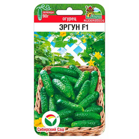 Огурец Эргун СибСад