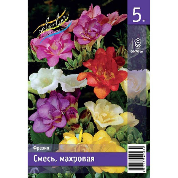 Фрезия Смесь, Махровая 5/6 5 Эконом шт 