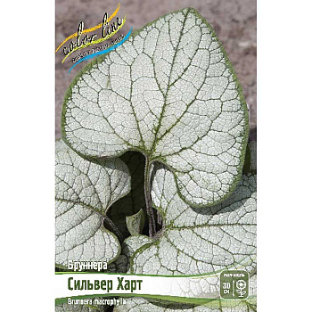 16428 Биг-Пак Бруннера Сильвер Харт I 25 шт 