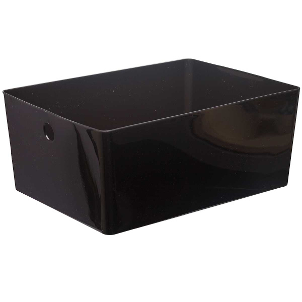 Контейнер ВЕРСА L Прозрачно-черный х11