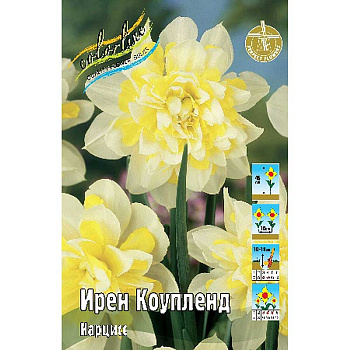 1202 Шоу-Бокс Нарцисс Ирен Коупленд 12/14 50 шт