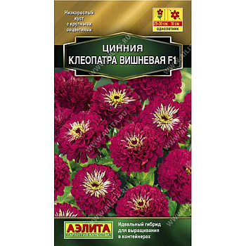 Циния Клеопатра вишневая Аэлита Ц 