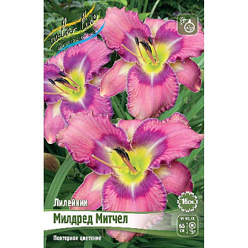 Лилейник Милдред Митчел I 1 шт 
