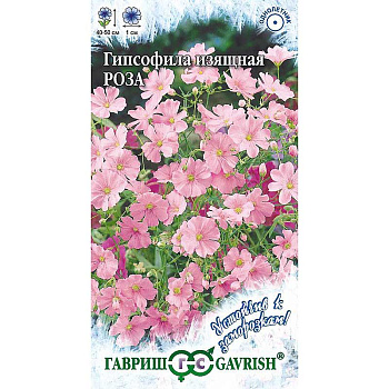 Гипсофила Роза изащн. Гавриш Ц 