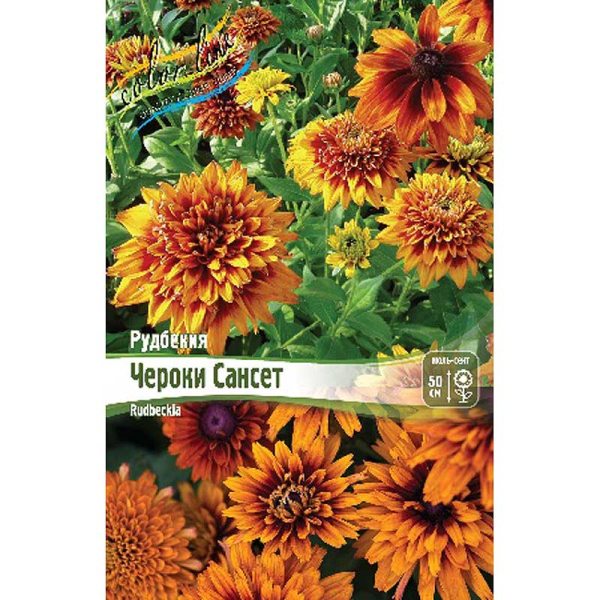 Рудбекия Чероки Сансет I 1 шт