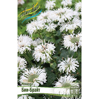 13481 Биг-Пак Монарда Бии-Брайт I 25 шт 