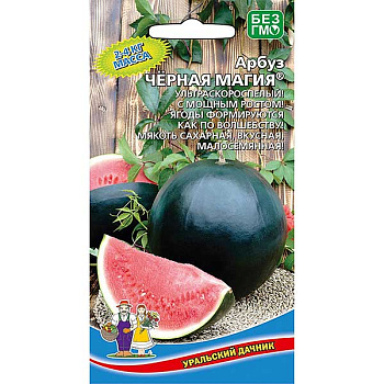 Арбуз Черная магия Марс Ц
